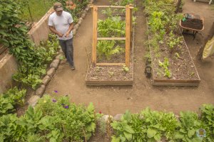 Garden of medicinal plants
