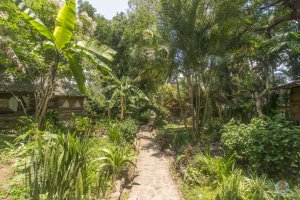 Green Areas